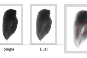 Sparck en Packsize bundelen krachten