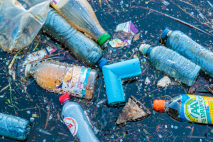 <em><u>Doorbraak in onderzoek</u></em><strong> </strong>naar enzym dat <strong>plastic oplost</strong>
