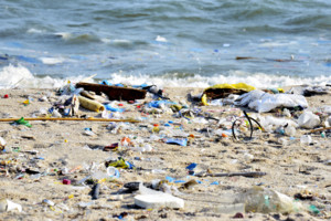 <strong>Tweede Kamer</strong> wil verbod op <em><u>slecht afbreekbare plastics</u></em>
