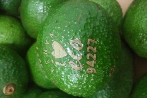 <strong>Albert Heijn</strong> begint ook met <u><em>Natural Branding</em></u>