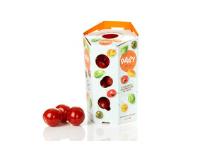 <u><em>Remmert Dekker Packaging</em></u> wint European Carton Excellence <strong>Award</strong>