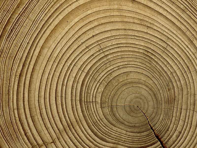 Aldi verduurzaamt houtinkoopbeleid