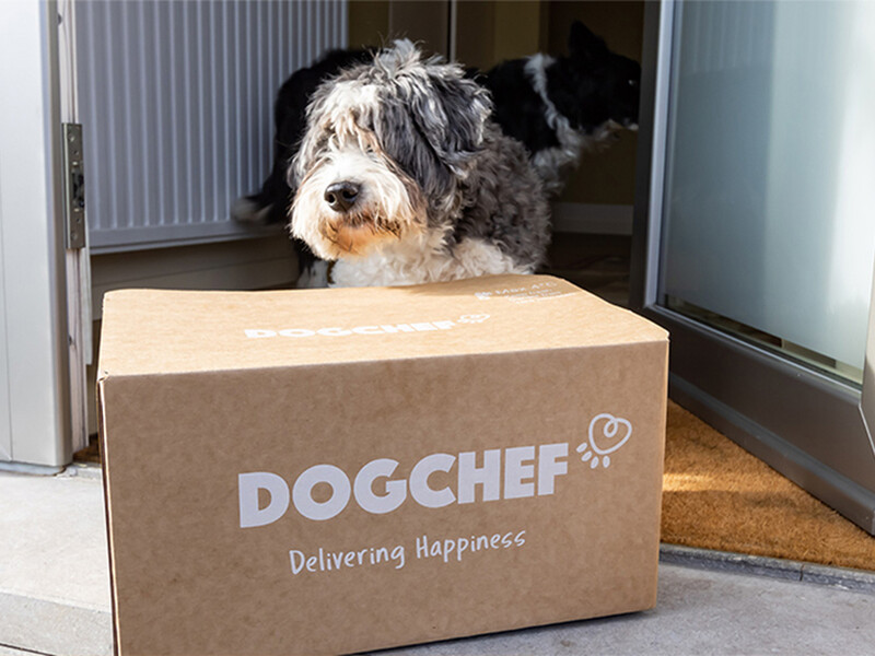 Dog Chef bespaart karton met nieuwe e-commerce foodbox van DS Smith