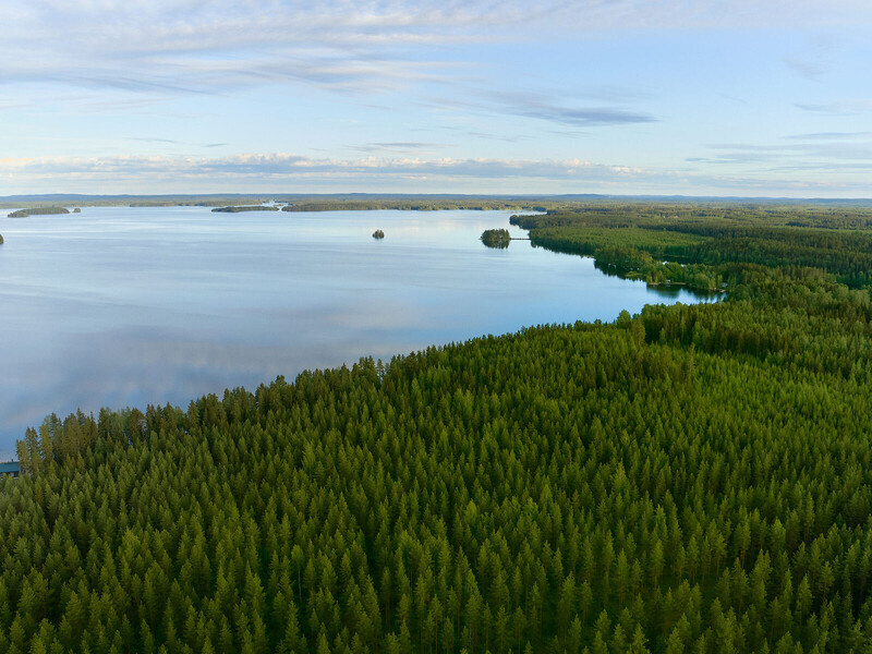 Metsä Board erkend voor leiderschap op milieugebied